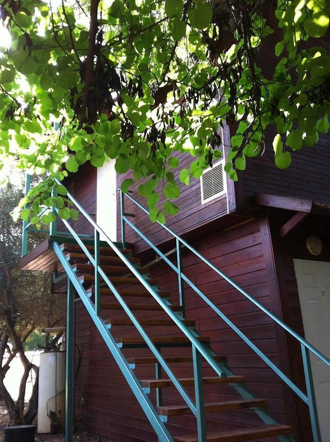 Villa Olive Tree Cabins à Ramot Naftali Chambre photo