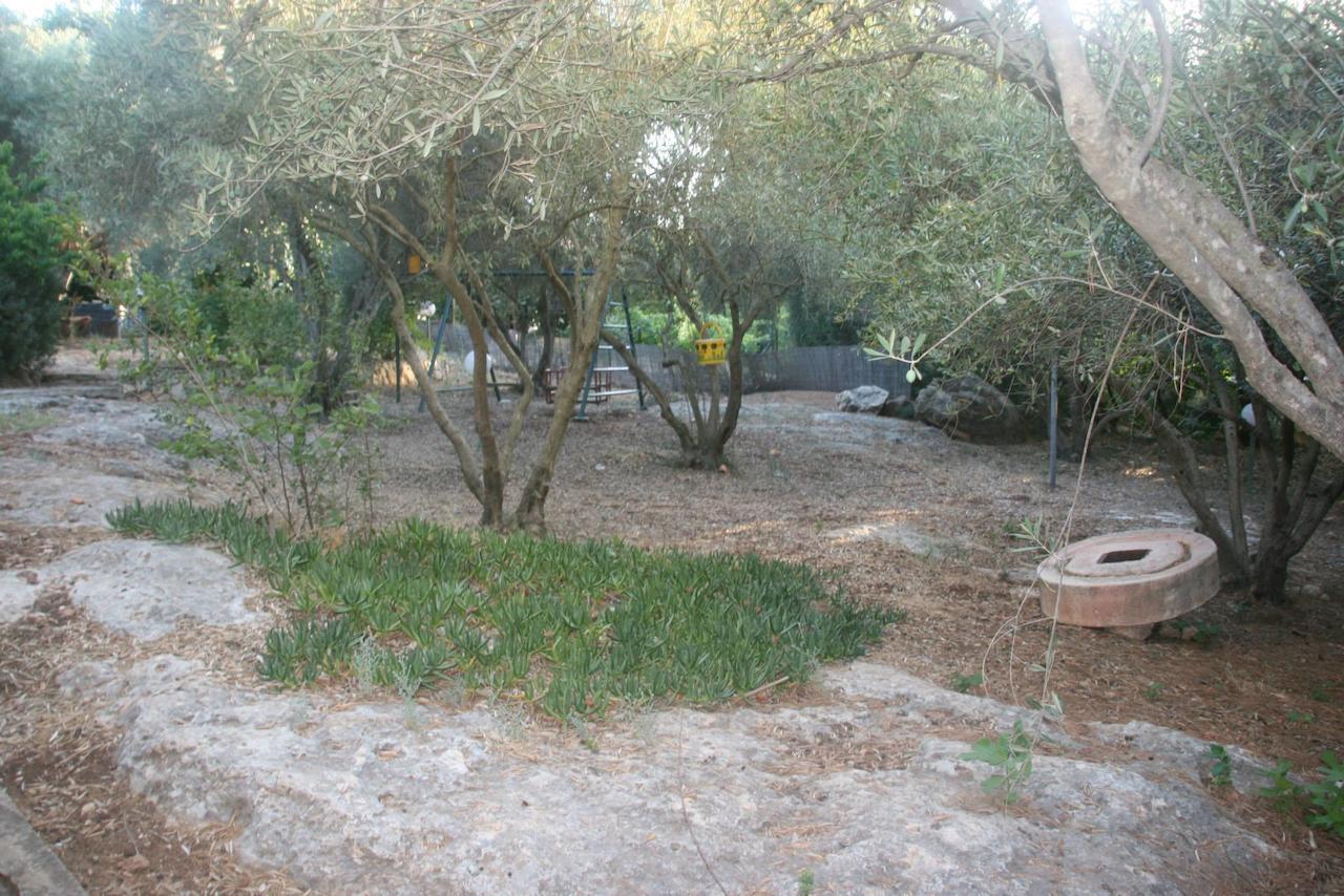 Villa Olive Tree Cabins à Ramot Naftali Chambre photo