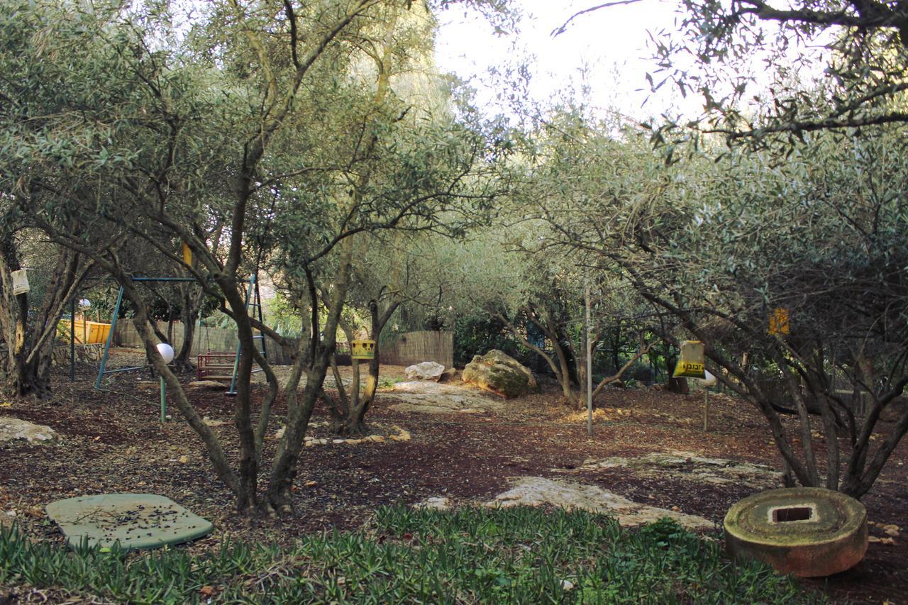 Villa Olive Tree Cabins à Ramot Naftali Extérieur photo